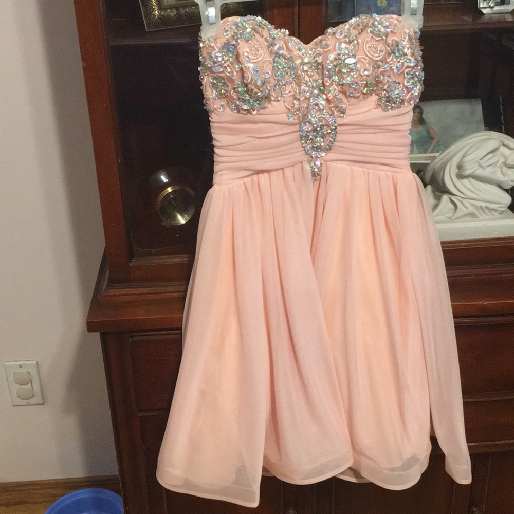 Pink Winter Dance Dress/ Short Prom Dress
